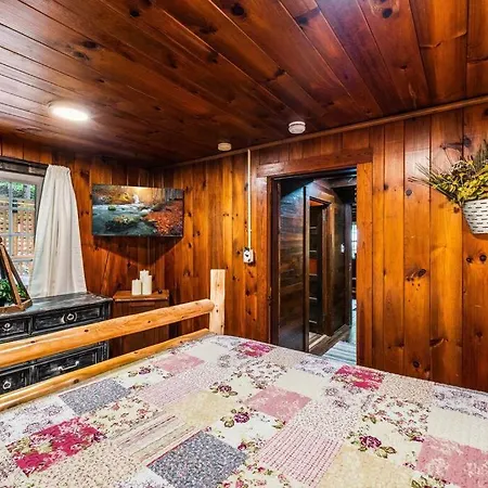 Boozy Bear Bungalow Romantic Cabin 5 Mins 2 Downtown With Hot Tub And Fire Pit Gatlinburg Exterior photo